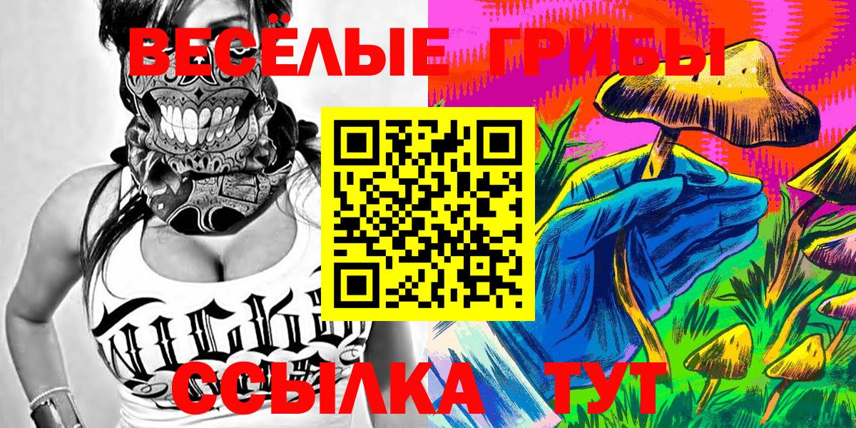 Галлюциногенные грибы Psilocybe Краснодар